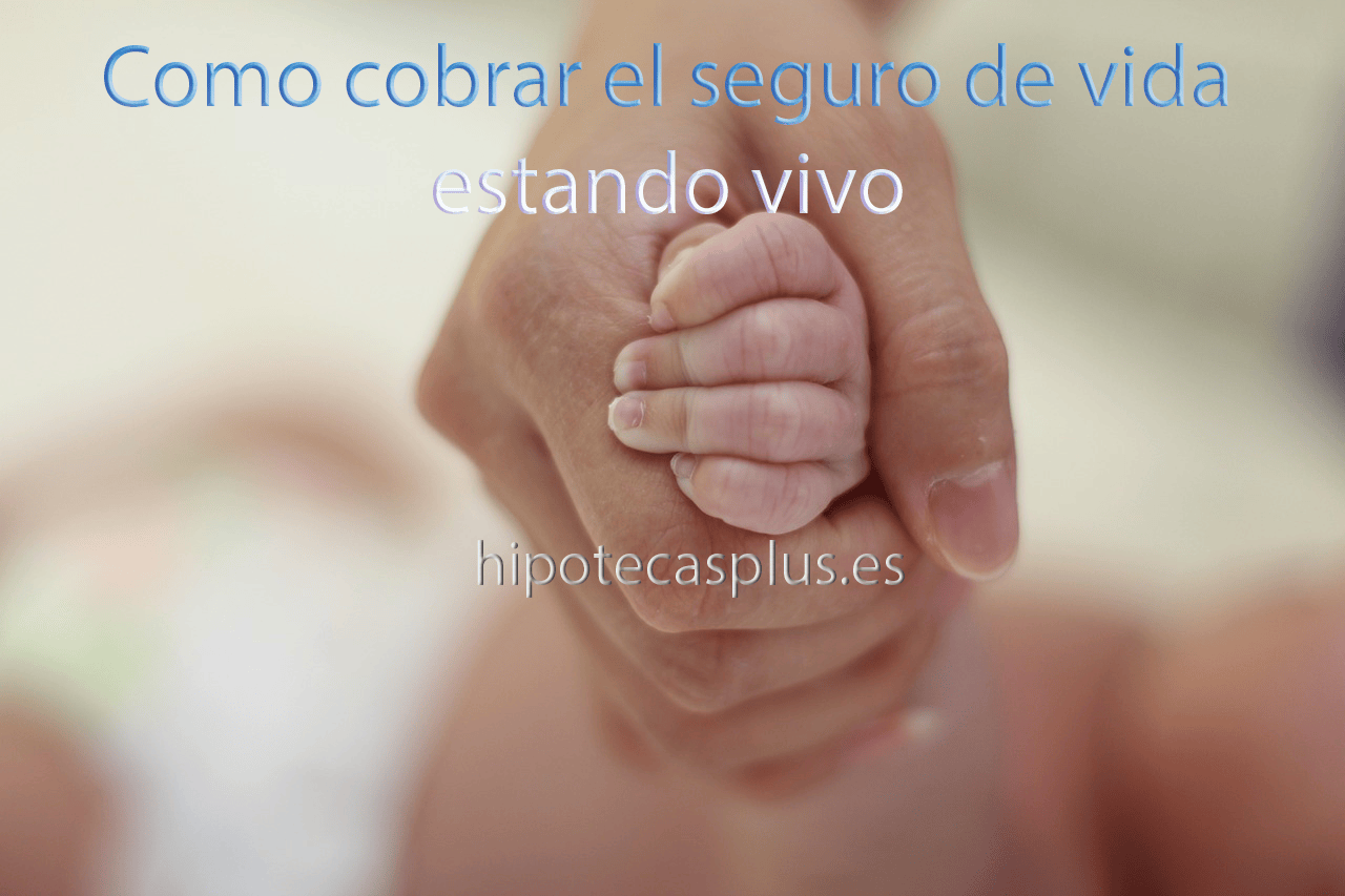 https://www.hipotecasplus.es/wp-content/uploads/HipotecasPlus-como-cobrar-seguro-de-vida-estando-vivo.png